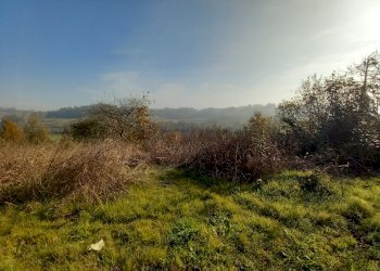 Cascina Frazione Morialdo, Castelnuovo Don Bosco - foto 6