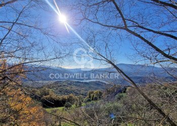 Bilocale Via Roma Monte, Cicerale - foto 3