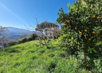 Casa indipendente Via Vico Storto, Cicerale - foto 7