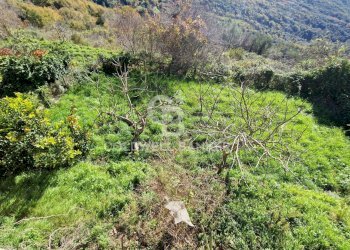 Casa indipendente Via Vico Storto, Cicerale - foto 8