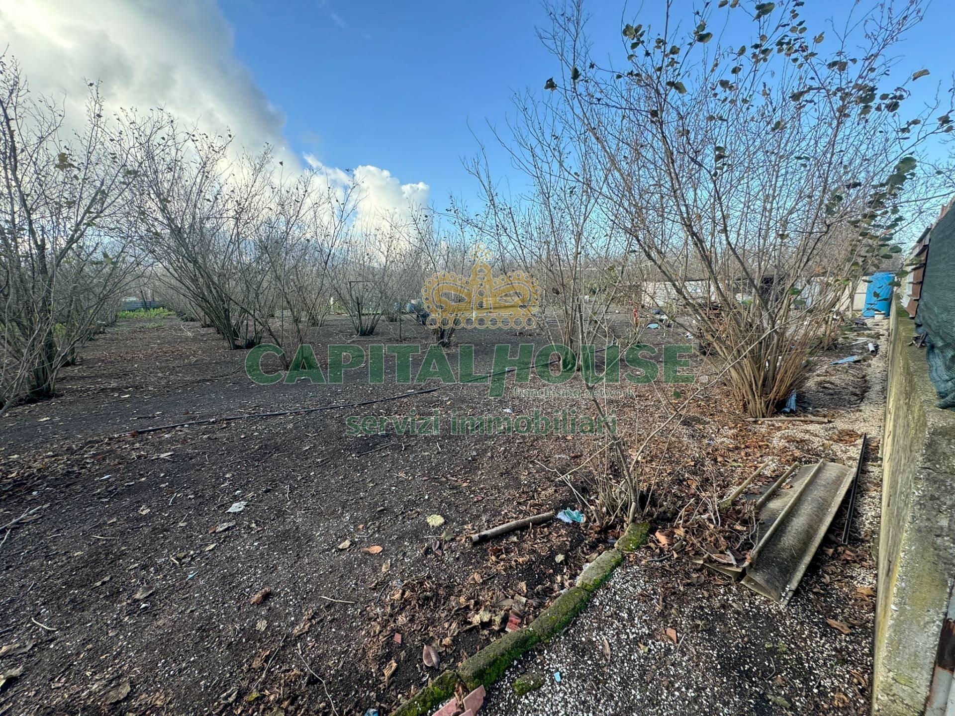 Terreno agricolo Saviano - foto 1