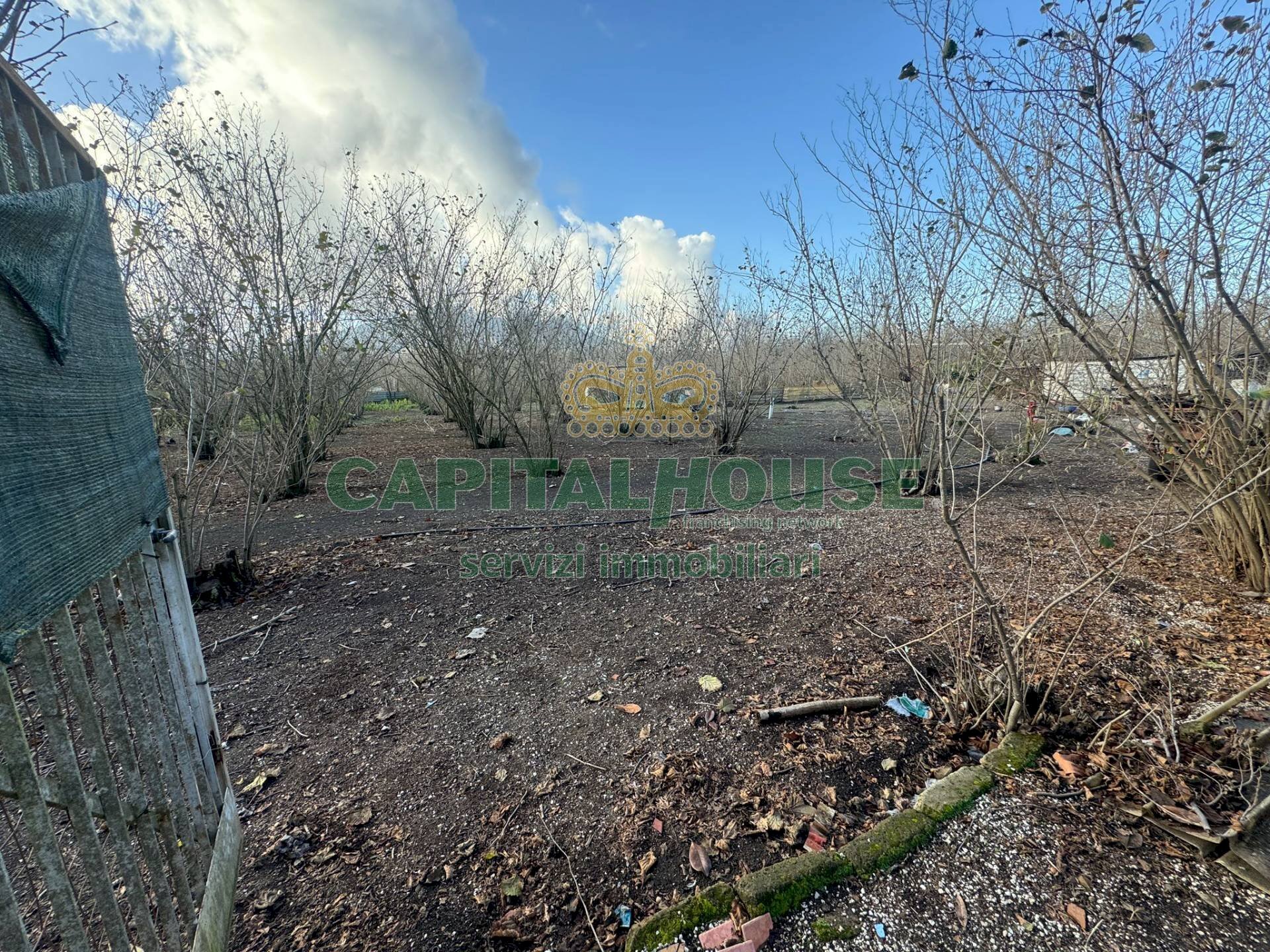 Terreno agricolo Saviano - foto 2