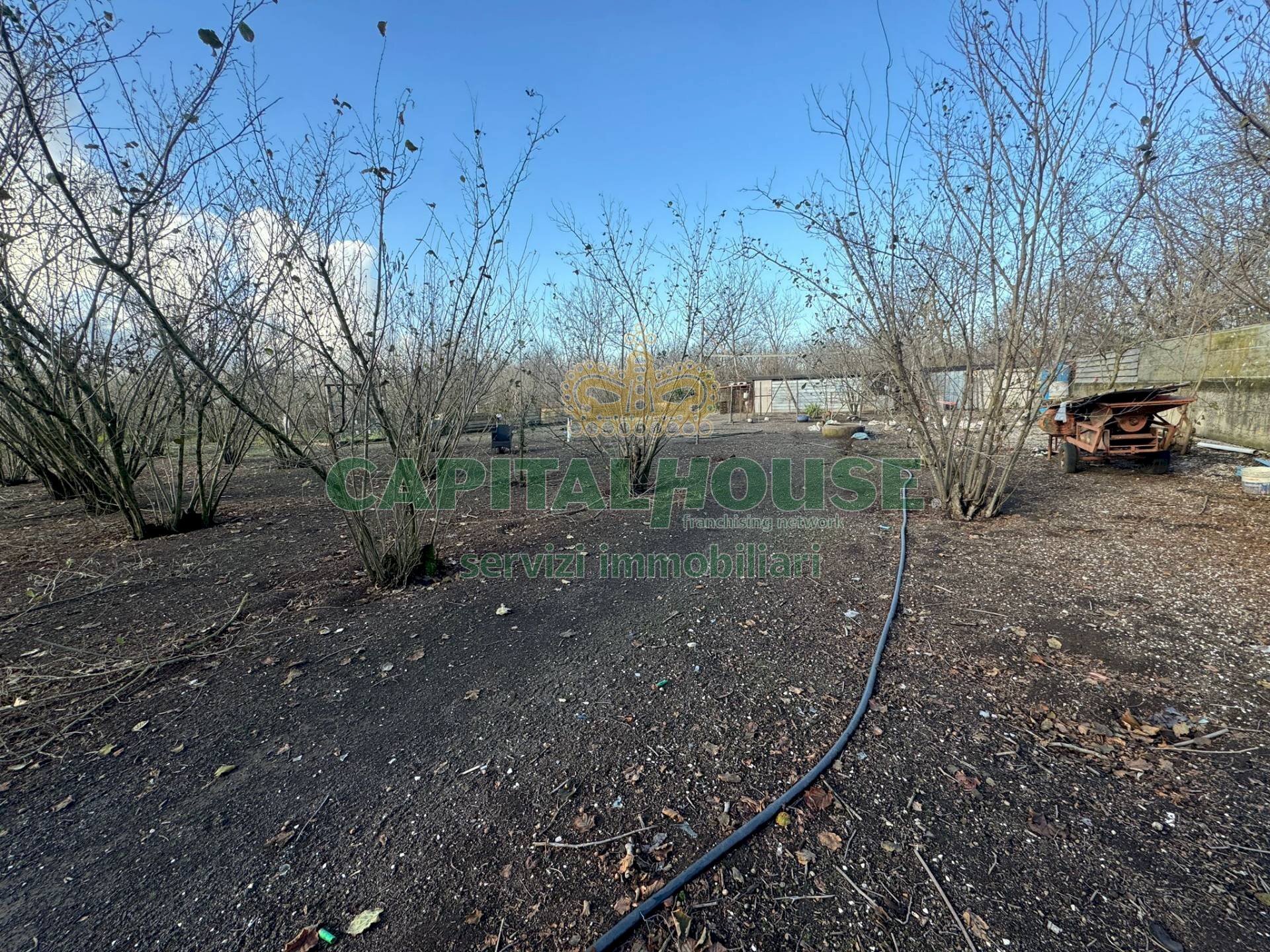 Terreno agricolo Saviano - foto 3