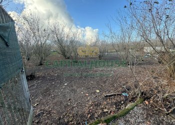 Terreno agricolo Saviano - foto 2