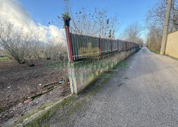 Terreno agricolo Saviano - foto 5