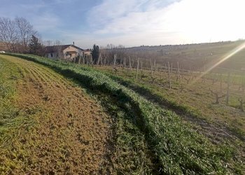 Agricultural land Chieri - photo 3