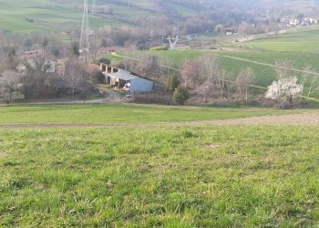 Agricultural land Chieri - photo 6