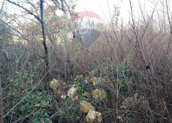 Terreno agricolo Località due strade, Pietrastornina - foto 3