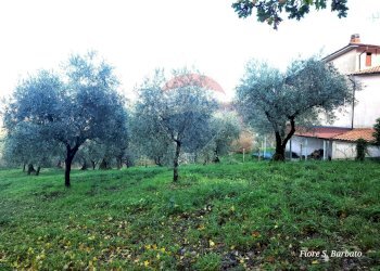 Terreno agricolo Località due strade, Pietrastornina - foto 4