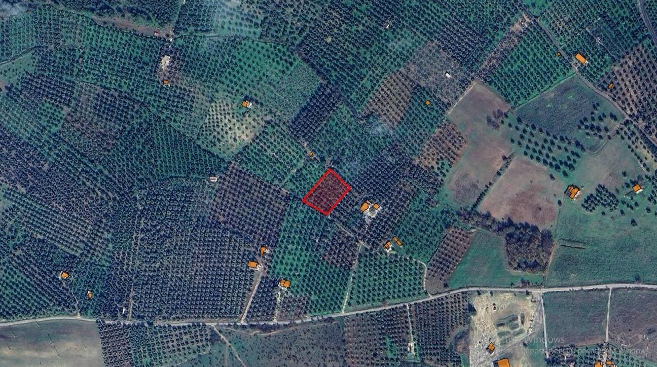 Terreno agricolo Contrada PIANO d'ERCOLE, Ischitella - foto 3