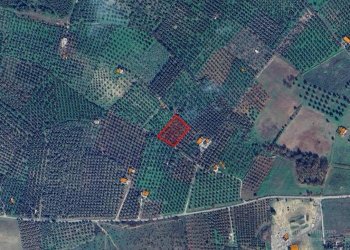 Terreno agricolo Contrada PIANO d'ERCOLE, Ischitella - foto 3