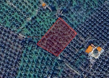 Terreno agricolo Contrada PIANO d'ERCOLE, Ischitella - foto 15