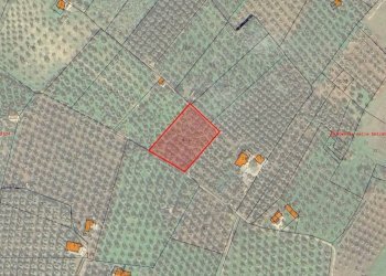 Terreno agricolo Contrada PIANO d'ERCOLE, Ischitella - foto 16