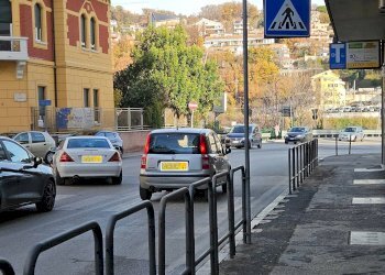 Attività Commerciale Piazza Garibaldi, Teramo - foto 7