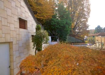 Giardino - Villa Cassano Magnago - photo 5