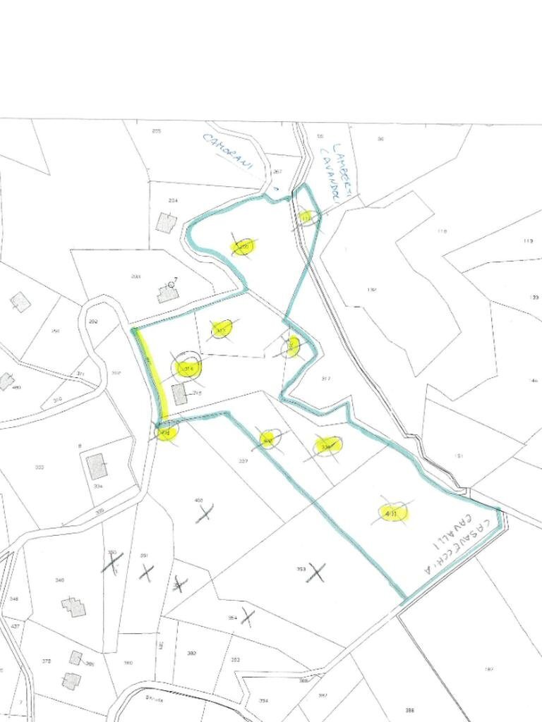 Terreno agricolo Strada provinciale, Canossa - planimetria 1