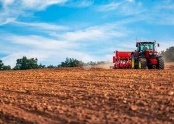 Terreno agricolo Strada provinciale, Canossa - foto 4