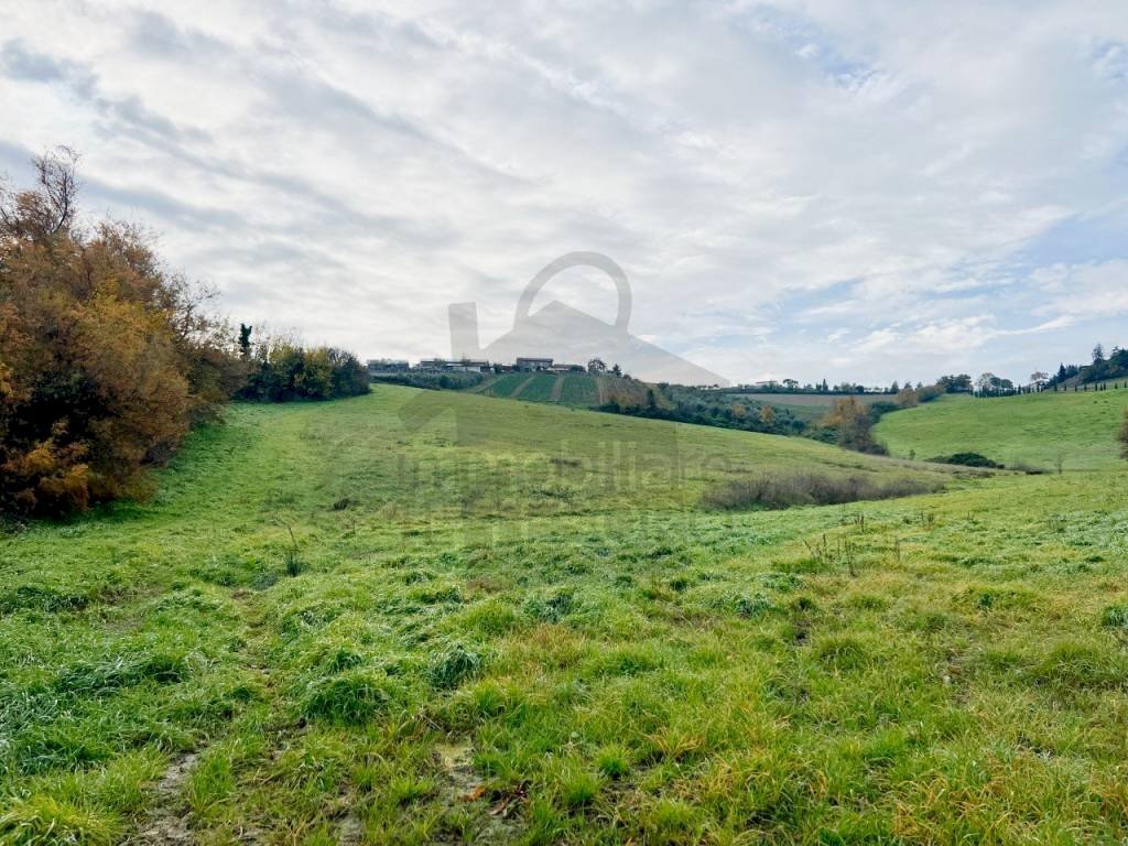 Terreno - Terreno agricolo via San Paolo, Rimini - foto 3