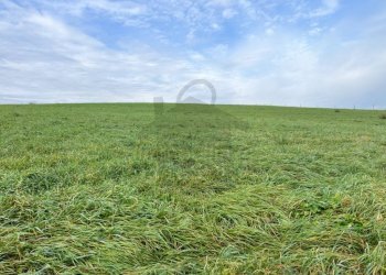 Terreno - Terreno agricolo via San Paolo, Rimini - foto 5