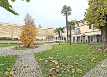 Giardino - Quadrilocale via San Martino, 8, Terruggia - foto 1