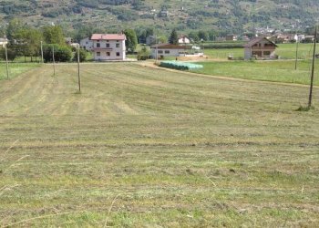 Terreno - Rustic via del Piano, Castello dell'Acqua - photo 7