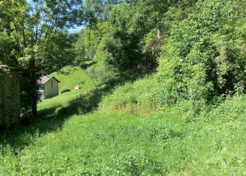 Terreno - Rustic Località Bossea, 31, Frabosa Soprana - photo 8