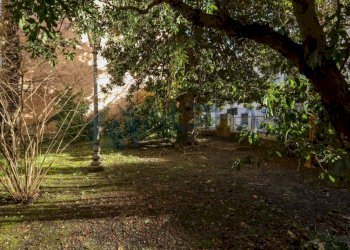 Giardino - Appartamento piazza Guglielmo Marconi, Dovadola - foto 23