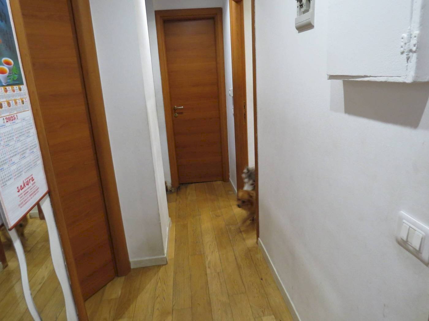 Three-room apartment Via Carlo Stuparich 4, Genova (neighborhood Bolzaneto) - photo 3