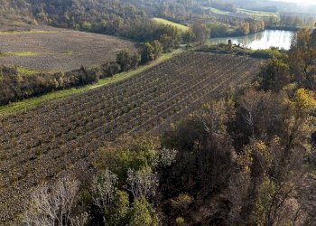 Villa Unifamiliare Strada Clementina, Volpedo - foto 5