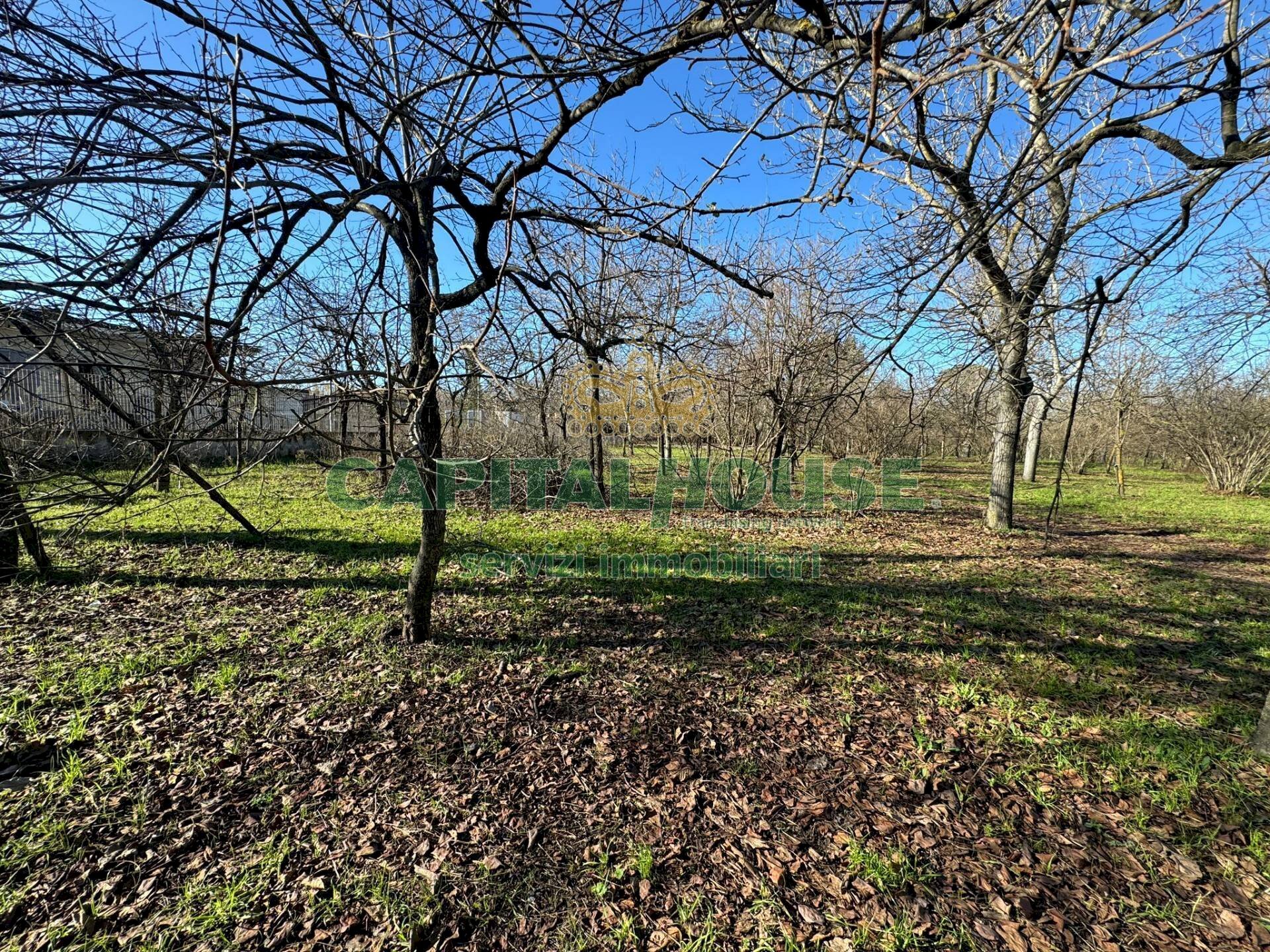Terreno agricolo Saviano - foto 1