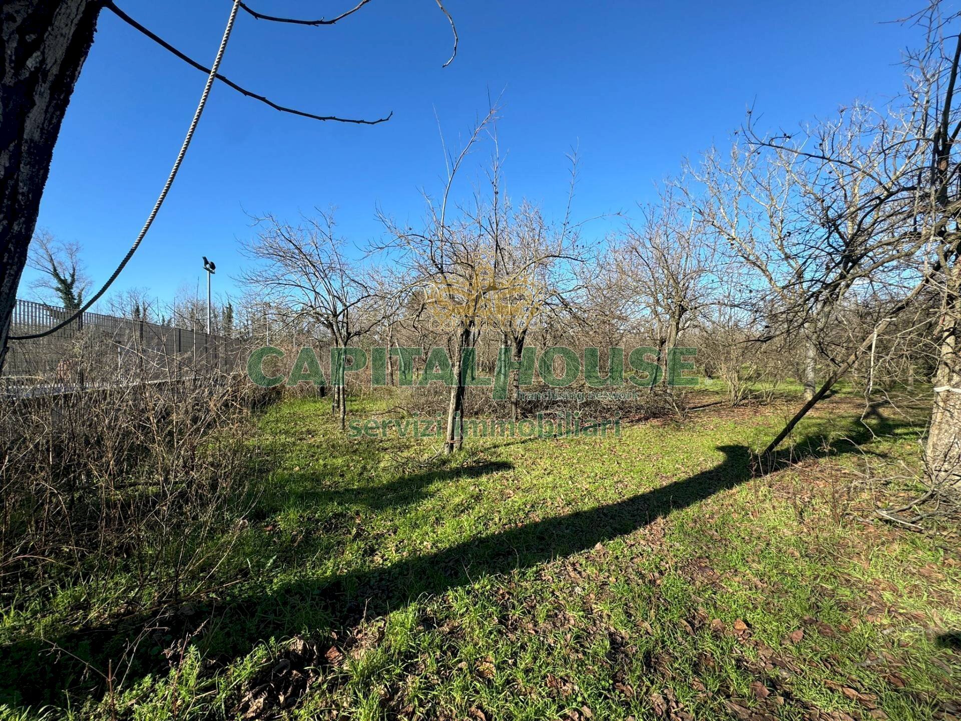 Terreno agricolo Saviano - foto 3