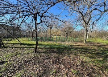 Terreno agricolo Saviano - foto 1