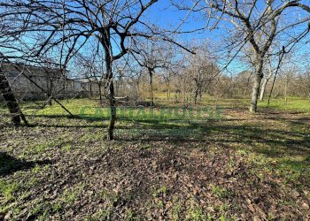 Terreno agricolo Saviano - foto 4