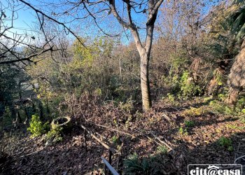 Casa semi indipendente Castagneto Po - foto 17