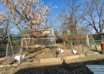 Villa Via Volpiano, Leini - foto 28