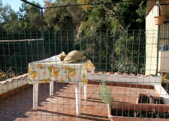 Balcone - Villa strada Ciaixe, 52, Camporosso - foto 42