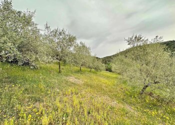 Appartamento Posada - foto 20