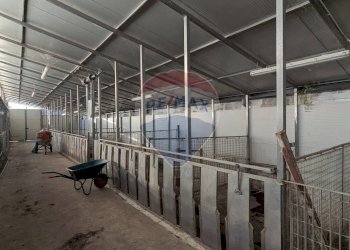 Agriturismo Piancogno - foto 15