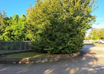 Zona - Capannone via Priula, Nervesa della Battaglia - foto 13