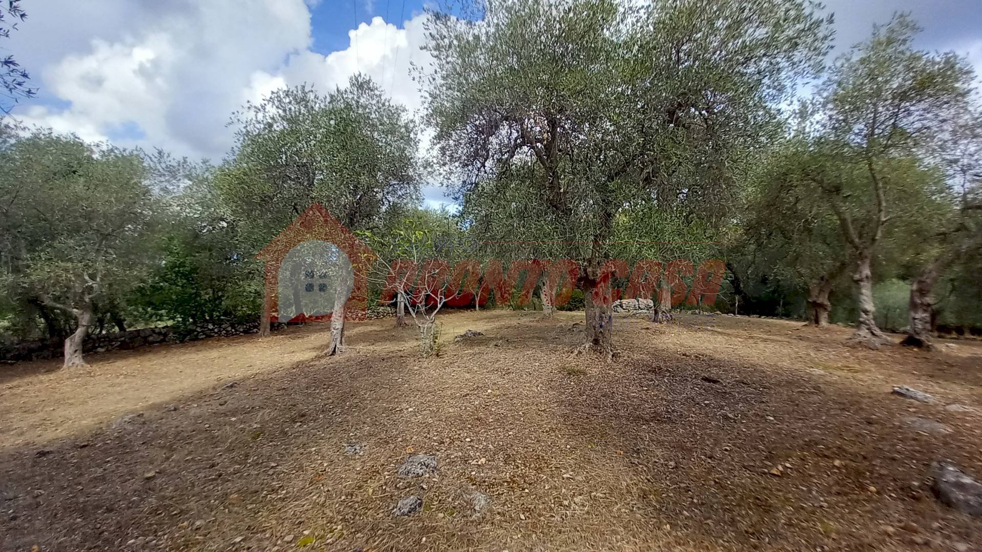 Terreno agricolo Contrada VALLONE DEI MULINI, Ischitella - foto 1