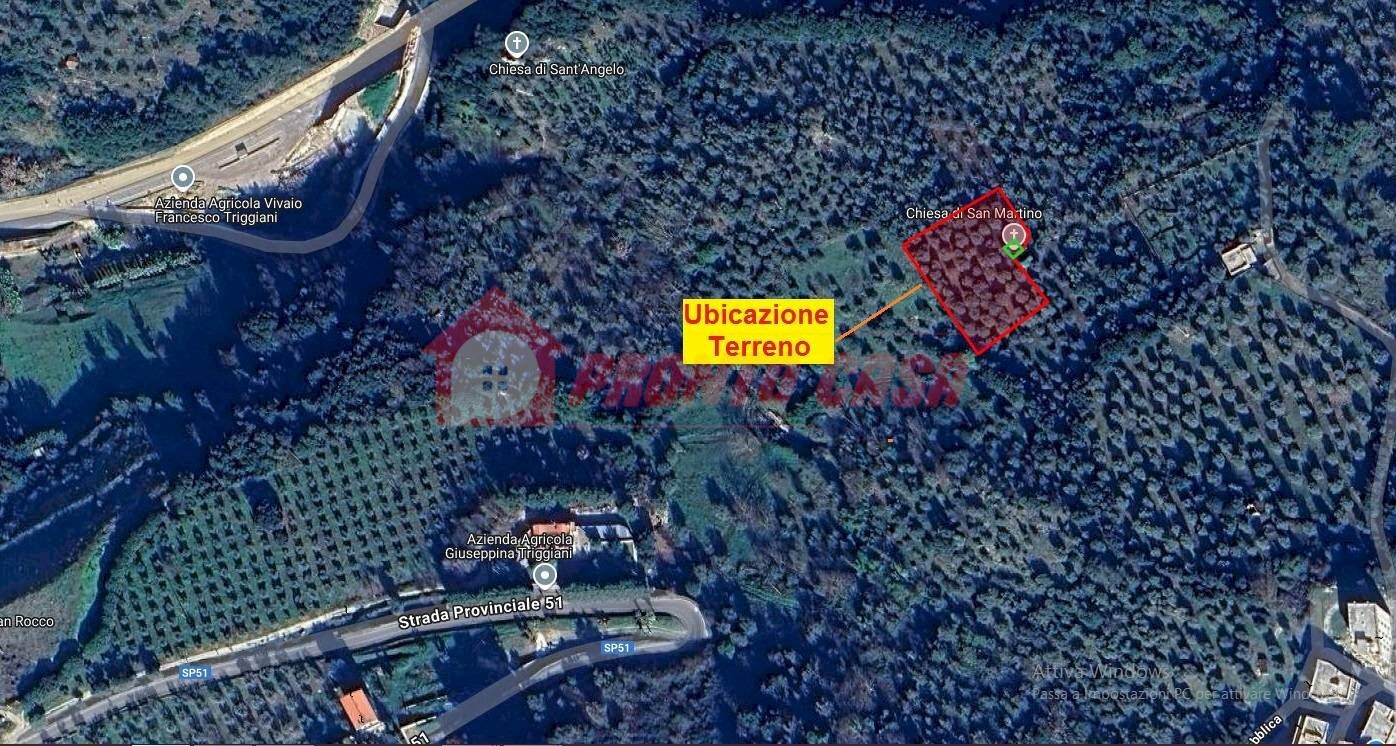 Terreno agricolo Contrada VALLONE DEI MULINI, Ischitella - foto 3