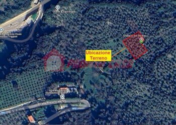 Terreno agricolo Contrada VALLONE DEI MULINI, Ischitella - foto 3