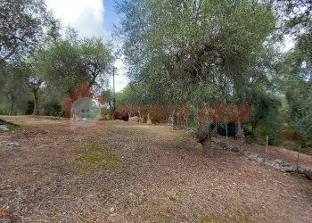 Terreno agricolo Contrada VALLONE DEI MULINI, Ischitella - foto 5