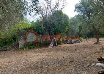 Terreno agricolo Contrada VALLONE DEI MULINI, Ischitella - foto 7