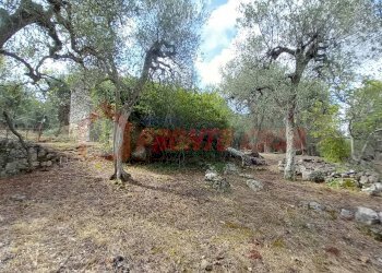 Terreno agricolo Contrada VALLONE DEI MULINI, Ischitella - foto 8