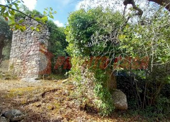Terreno agricolo Contrada VALLONE DEI MULINI, Ischitella - foto 9