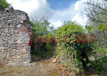 Terreno agricolo Contrada VALLONE DEI MULINI, Ischitella - foto 10