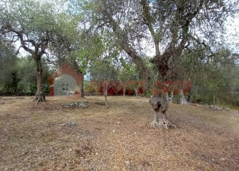 Terreno agricolo Contrada VALLONE DEI MULINI, Ischitella - foto 11