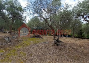 Terreno agricolo Contrada VALLONE DEI MULINI, Ischitella - foto 12