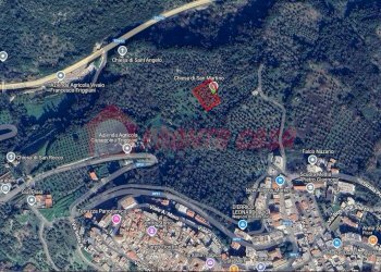 Terreno agricolo Contrada VALLONE DEI MULINI, Ischitella - foto 18